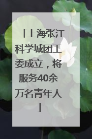 上海张江科学城团工委成立，将服务40余万名青年人